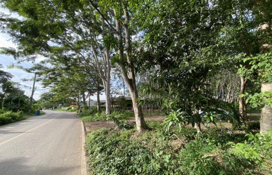 ���ͧ �� natanong78