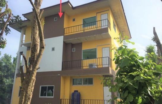 ������ä� �� panaya.opalopal