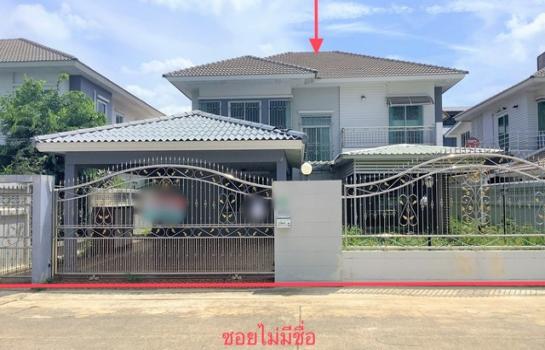 ������ä� �� panaya.opalopal