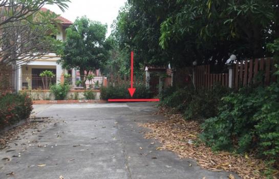 ������ä� �� compos2566