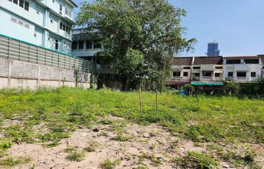 �ҧ������ �� HarrisonTH