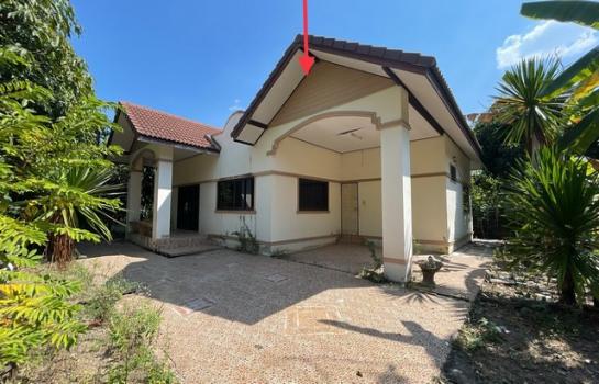 ��ҹ�Ҥ�� �� compos2566