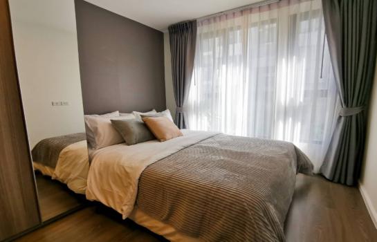 ��ا෾ �� M Property