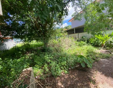 ���Թ�Դ��� ����