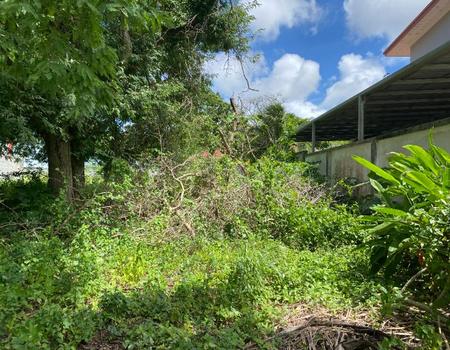 ���Թ�֡36���� ����