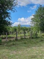 ��·��Թ �ѹ��ҵͧ