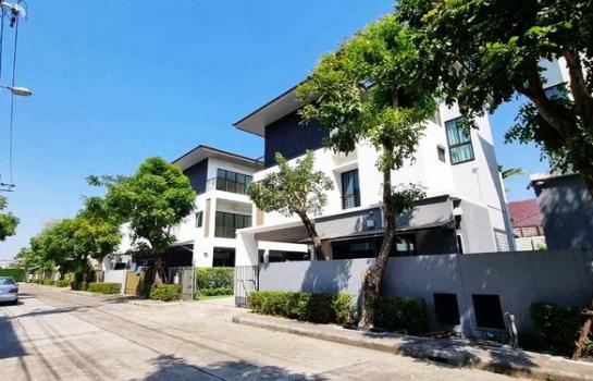 ��ҹ������ �� Nuttapong