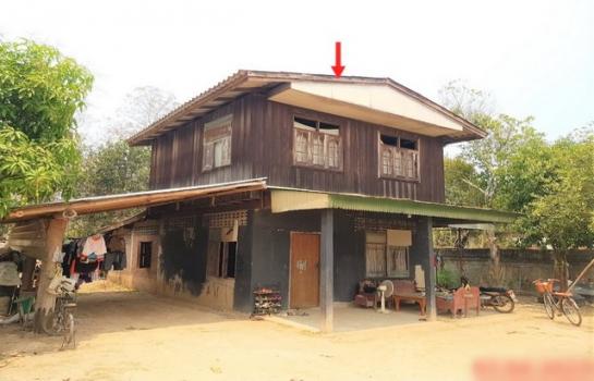 ��ҹ��ҹ �� compos2566