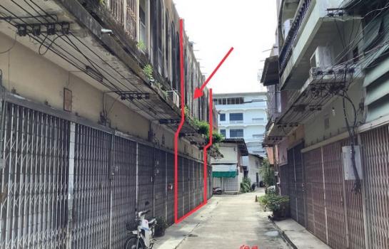 ������ä� �� panaya.opalopal