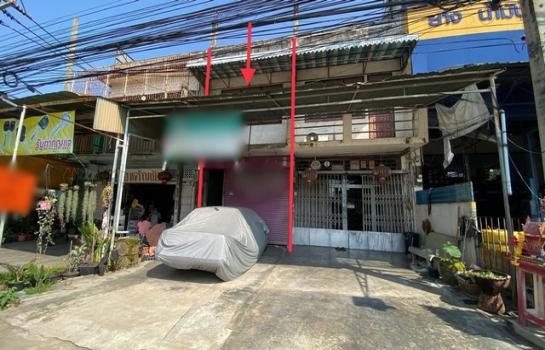 ������ä� �� panaya.opalopal