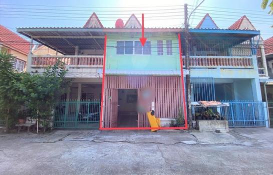 ������ä� �� panaya.opalopal