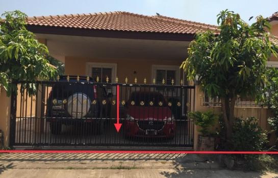 ������ä� �� panaya.opalopal