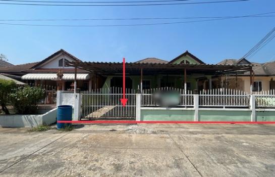 ������ä� �� panaya.opalopal