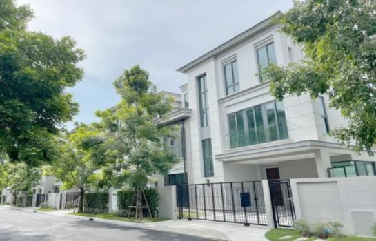 �Ҵ��кѧ �� B.Y.55