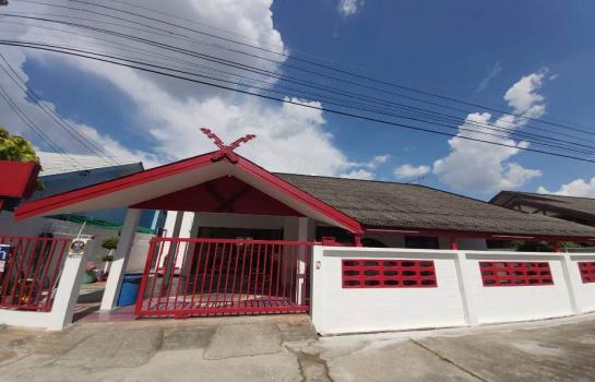 �Ң�ѭ �Ź�����