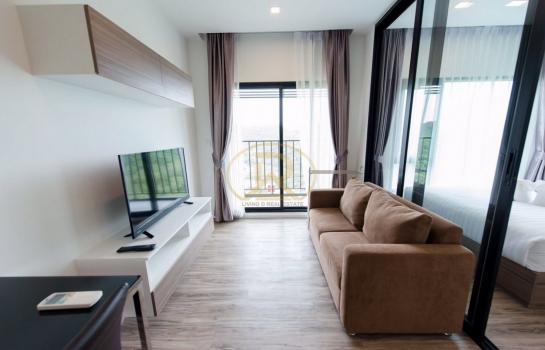 ����Ҫ� �� livingd949