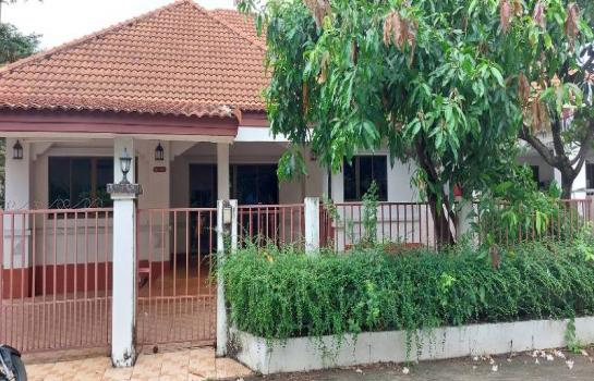 �ѹ���� �� �Ң�ѭ �Ź�����