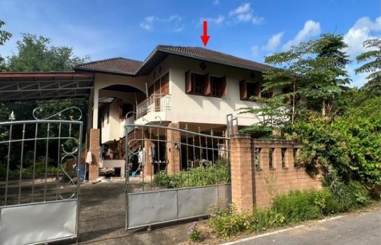 ��ҹ��ҹ �� compos2566