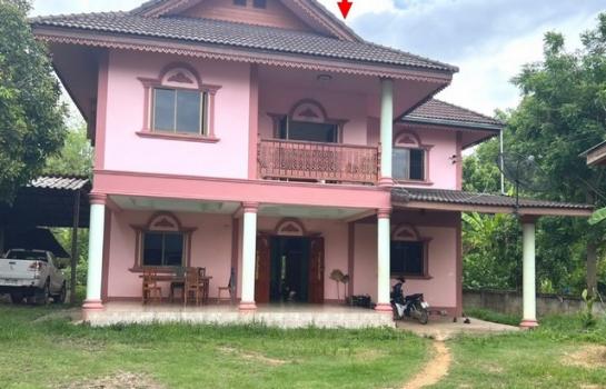 ��ҹ��ҹ �� compos2566