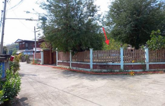 ��ҹ��ҹ �� compos2566