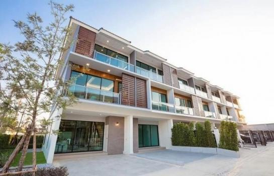 �ҧ�л� �� biw