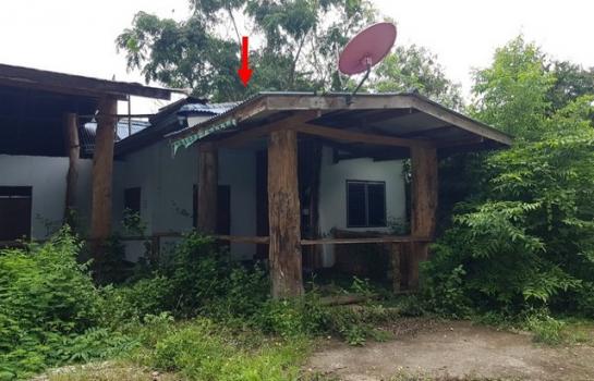 ��ҹ��ҹ �� compos2566