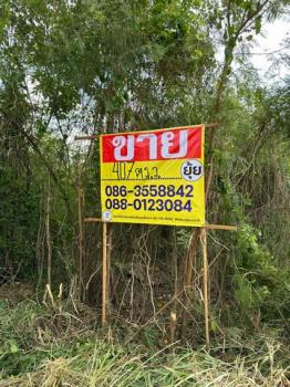 ���⢹� �� zionasset1