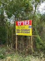 ��·��Թ �Ҥһ�С�Ȣ�� 44,770,000 �ҷ