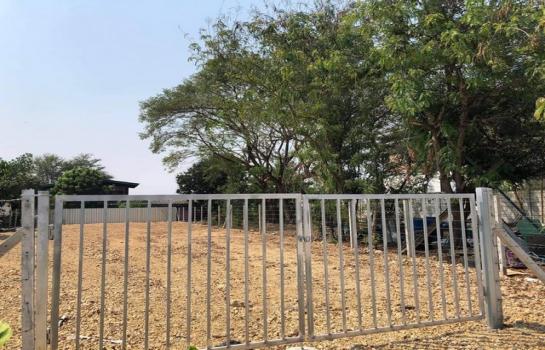 �ҧ���� �� zionasset1