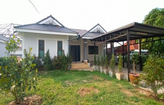 �Ң�ѭ �Ź�����