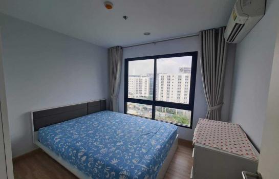 �ҧ���� �� M Property