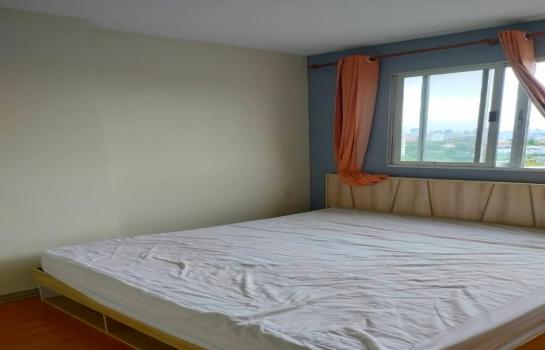 �ҧ�л� �� M Property