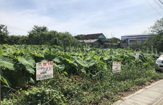 ���˹ͧ�� �� Central Home