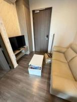 �͹� ���⢹�