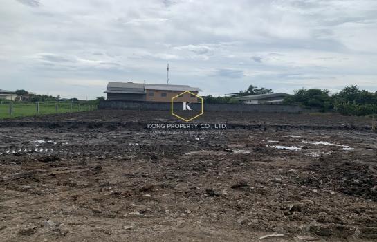 �ǹ��ǧ �� Kong property