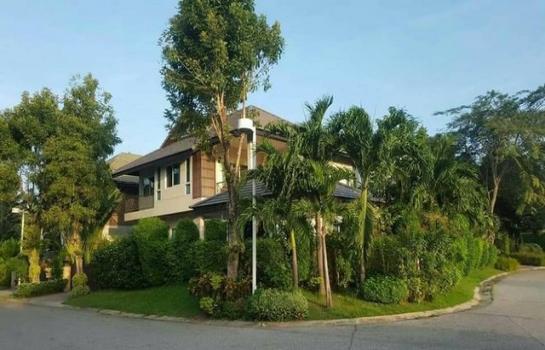 ��»����� �� asangha PL