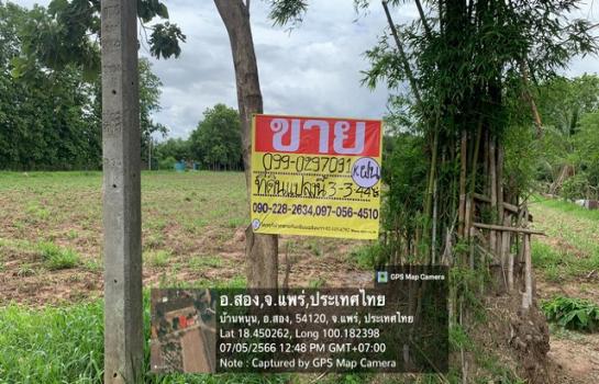 ��ѡ��� �� zionasset1