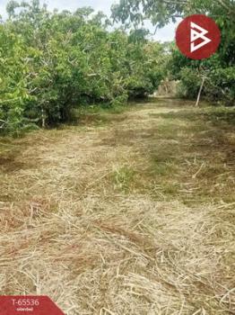 ��§���� �� The Best Property Agent