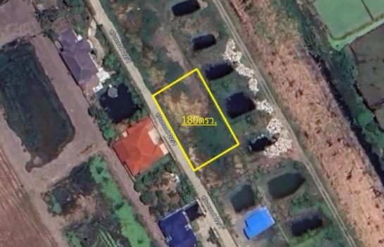 �չ���� �� Patkorn