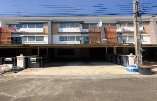 �ҧ�� �� All Living