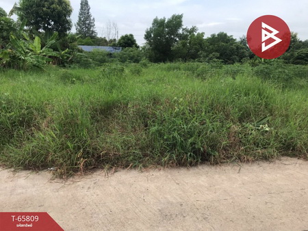 �ź��� �� The Best Property Agent