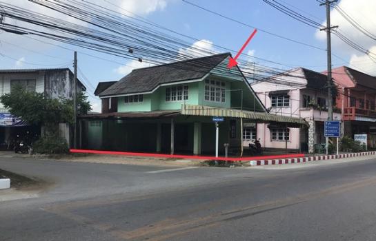 ��¾���� �� panaya.opalopal