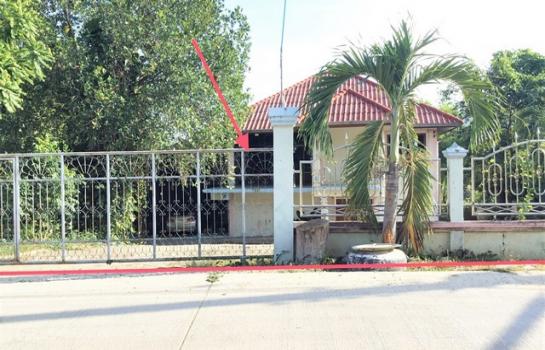 ��� �� compos2566