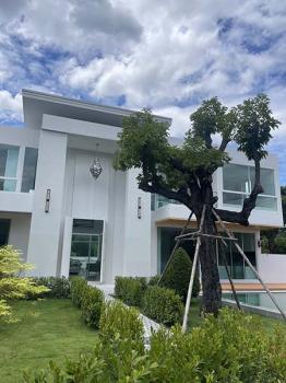 ��ҹ�ѹ��ҵͧ ��§����