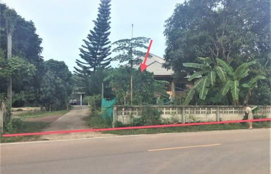 ��¾���� �� panaya.opalopal