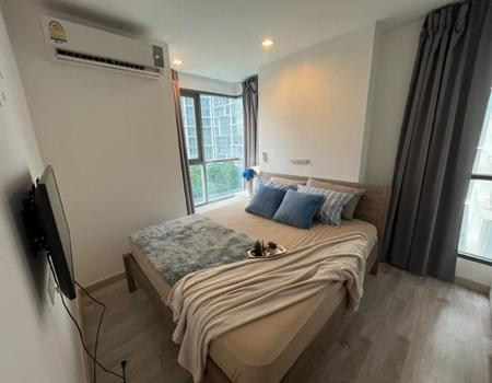 ��¾��⢹� �� incube