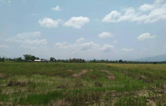 �ҧ�� �� onanong khumaphao