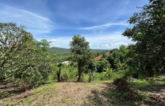 ���Թ�ҧ�� �� Sawasdee