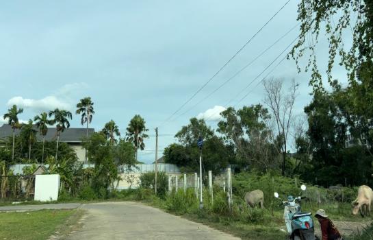 ที่ดิน lotus ที่ดิน lotus