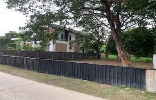 ที่ดิน lotus ที่ดิน lotus